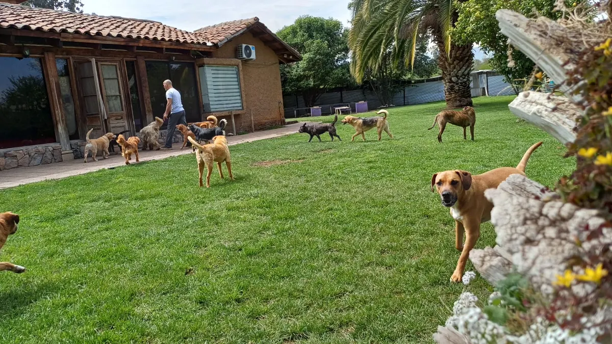 Joshua con los perros junto a la terraza de la casa